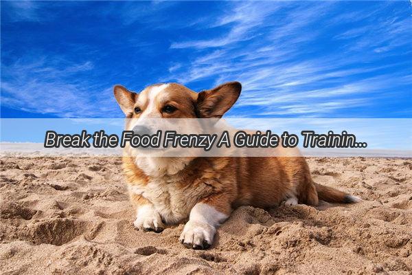 Break the Food Frenzy A Guide to Training Your Guarding Canine to Share the Delights of Feeding Time